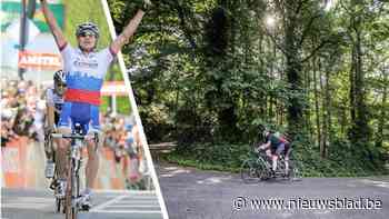 Van scherprechter in Hageland tot hoofdrol in... Amstel-zege: het peloton rijdt zaterdag over de Poggio van Diest