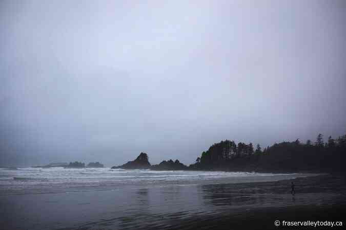 Boa constrictor Bailey, reported missing at Tofino beach, turns up in owner’s kayak