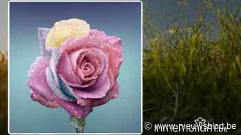 Leonie Vanmuysen, 92 jaar