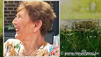 Tiny Destreel, 72 jaar