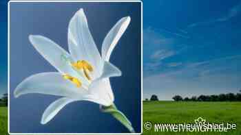 Marie-Andrée VANDERGETEN, 94 jaar