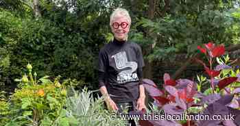 The hidden Highgate haven with a children's garden that's opening to the public