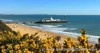 All the Bournemouth beach rules visitors need to be aware of in the summer