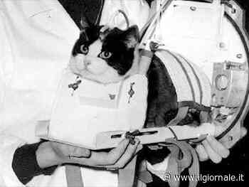 Félicette, storia di una gatta nello spazio