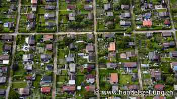 Verband für Schrebergärten feiert sein 100-jähriges Bestehen