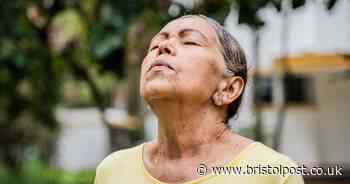 Over 65s told do this 'between 11am and 3pm' for their safety