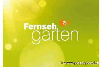 Joachim Llambi und Lutz van der Horst vertreten Andrea Kiewel im "ZDF-Fernsehgarten"