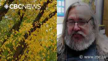 Keeping Dutch elm disease in check