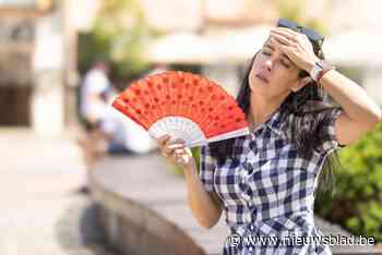 Europese informatiedrempel ozon vrijdag overschreden in Hasselt