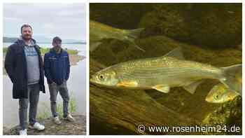 Simssee-Zufluss verlandet – und niemand unternimmt etwas: Ist seltene Fischart in Gefahr?