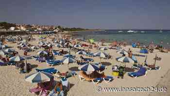 Hochgiftige Qualle an Strand von beliebter Urlaubsinsel entdeckt – Badebucht gesperrt