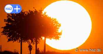 Hitze-Check 2025: So warm ist es in Hannover und Niedersachsen
