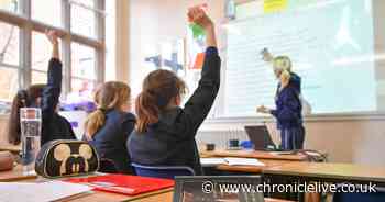 One in 10 parents say children ask to miss school over concerns about toilets