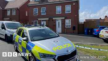 Man held over murder of woman after McDonald's crash