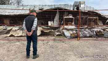 Owner of Robertson Trading surveys wildfire damage that burned historic building to the ground