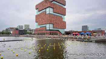 Zwemseizoen in Bonapartedok geopend: ‘Zalige Zwemdagen’ nu elk weekend van de zomer