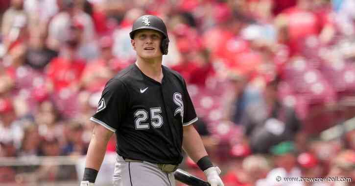 The Case for Andrew Vaughn