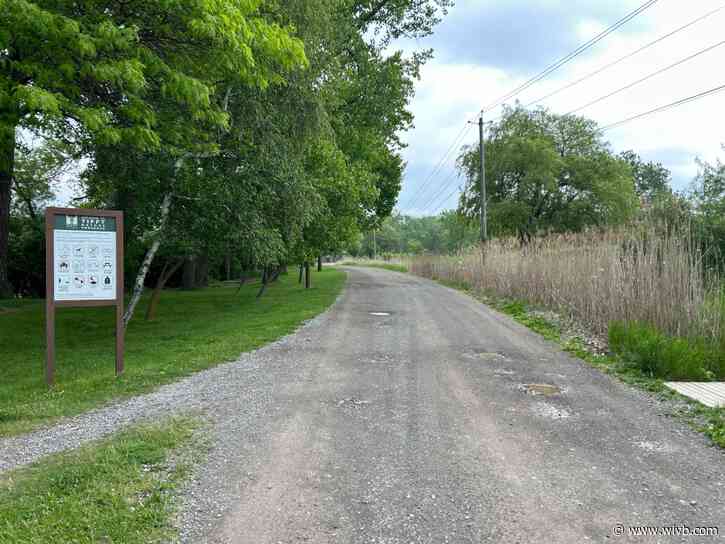 Along 4 The Hike: Tifft Nature Preserve