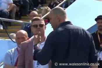 Brian O'Driscoll caught up in furious Michael Cheika incident on live TV