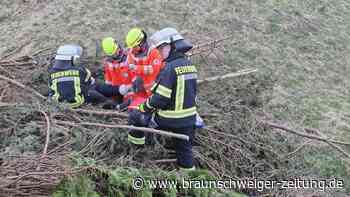 Happy End am Harz: Vermisste 91-jährige Urlauberin wird lebend gefunden