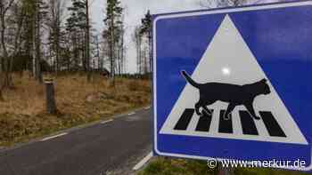 „So gehört sich das“: Kurioses Verkehrsschild in Urlaubsland sorgt für Diskussion – wer hat hier Vorrang?