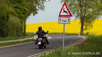 Tödlicher Unfall in Bayern: Motorradfahrer prallt gegen Baum und stirbt