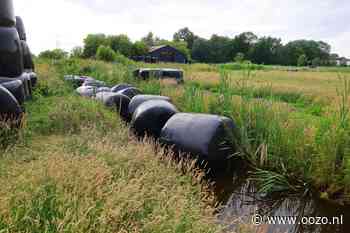 Jongetjes stichten brand in Landsmeer