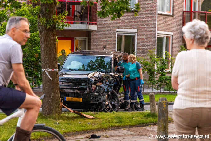 Auto knalt met hoge snelheid tegen boom in Mijdrecht
