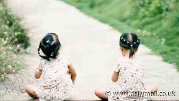 Daughters Of The Bamboo Grove by Barbara Demick: Twins wrenched apart by the Chinese government... with one sold to America