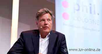 Habeck will Gastprofessor im Ausland werden