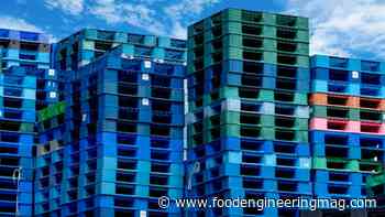 Considerations for Turning to Plastic Pallets and Totes