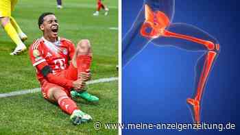 Diagnose Wadenbeinbruch bei Musiala: Operation, Reha – und eine gute Nachricht für Bayern-Fans