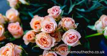 Police trace the family of man with ties to Bournemouth who died on the railway