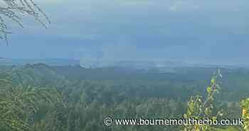 'Deliberate' heath fires near Bournemouth Airport
