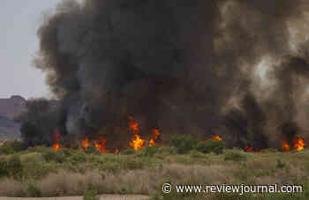 Wetlands Park likely to make recovery from recent fires