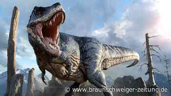 Furchterregender Anblick: Neue Spezies erstaunt Paläontologen