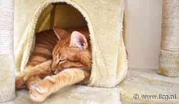 Laatste check voor de vakantie