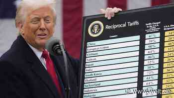 „Trump will auch nicht, dass die Weltwirtschaft vollkommen entgleist“