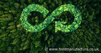 Harnessing blockchain to solve supply chain and circular economy challenges