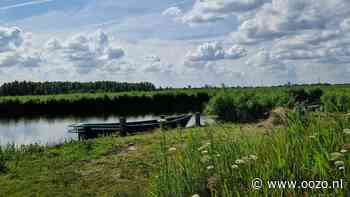 Hoogzomer in het Ilperveld beleven vanaf een fluisterboot