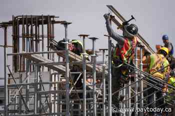 Canadians will see wages pick up as immigration slows, Conference Board argues