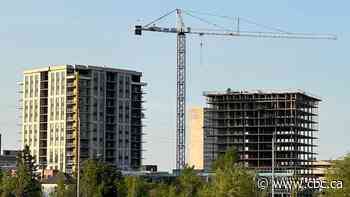 N.B. cities getting denser as they respond to population growth