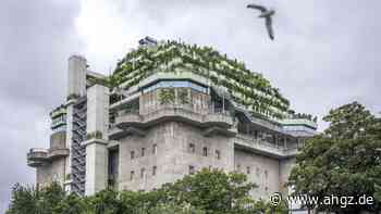 Hamburg: Ein Jahr grüner Bunker auf St. Pauli
