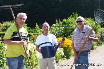 In diesem Mindener Kleingarten sind Hecken und Zäune verboten
