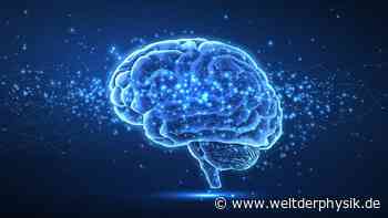 „Neuronales Netz ohne Dirigenten“