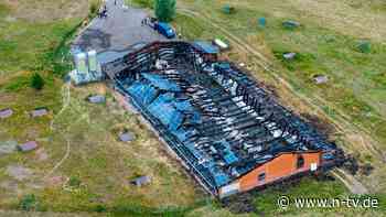 Systematisches Versagen?: Tausende Tiere sterben bei verheerendem Großbrand