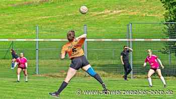 1. Faustball Bundesliga: Deshalb fährt der TSV Calw nach Dresden