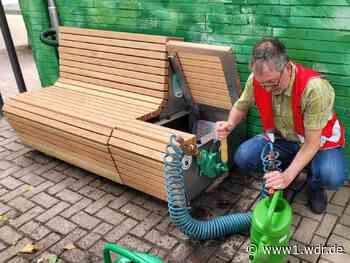 Düsseldorf stellt erste Regenwasserbank vor