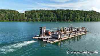 Starkes Plädoyer: „Schongau braucht den Tourismus“