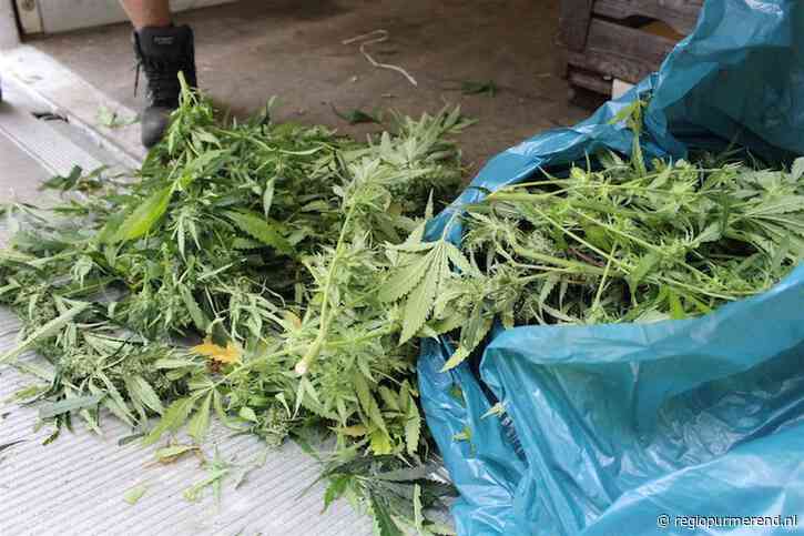 Rechtbank spreekt Volendammer vrij van betrokkenheid bij hennepkwekerij